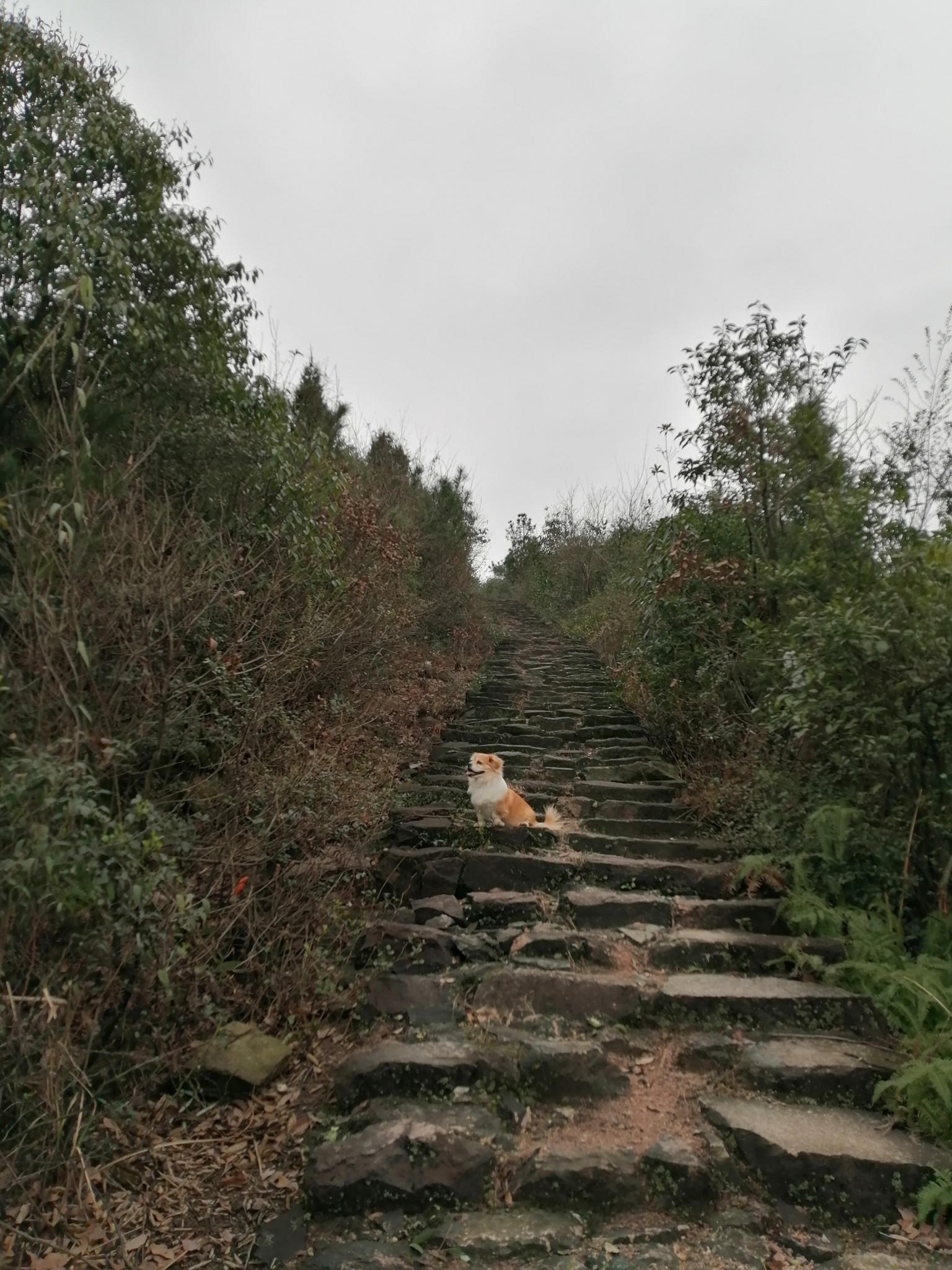 再上五峰岭,绍兴自助游攻略 - 马蜂窝