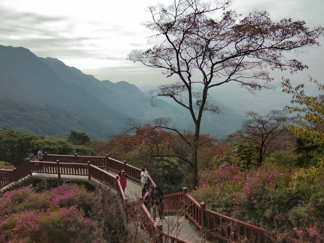 石门国家森林公园