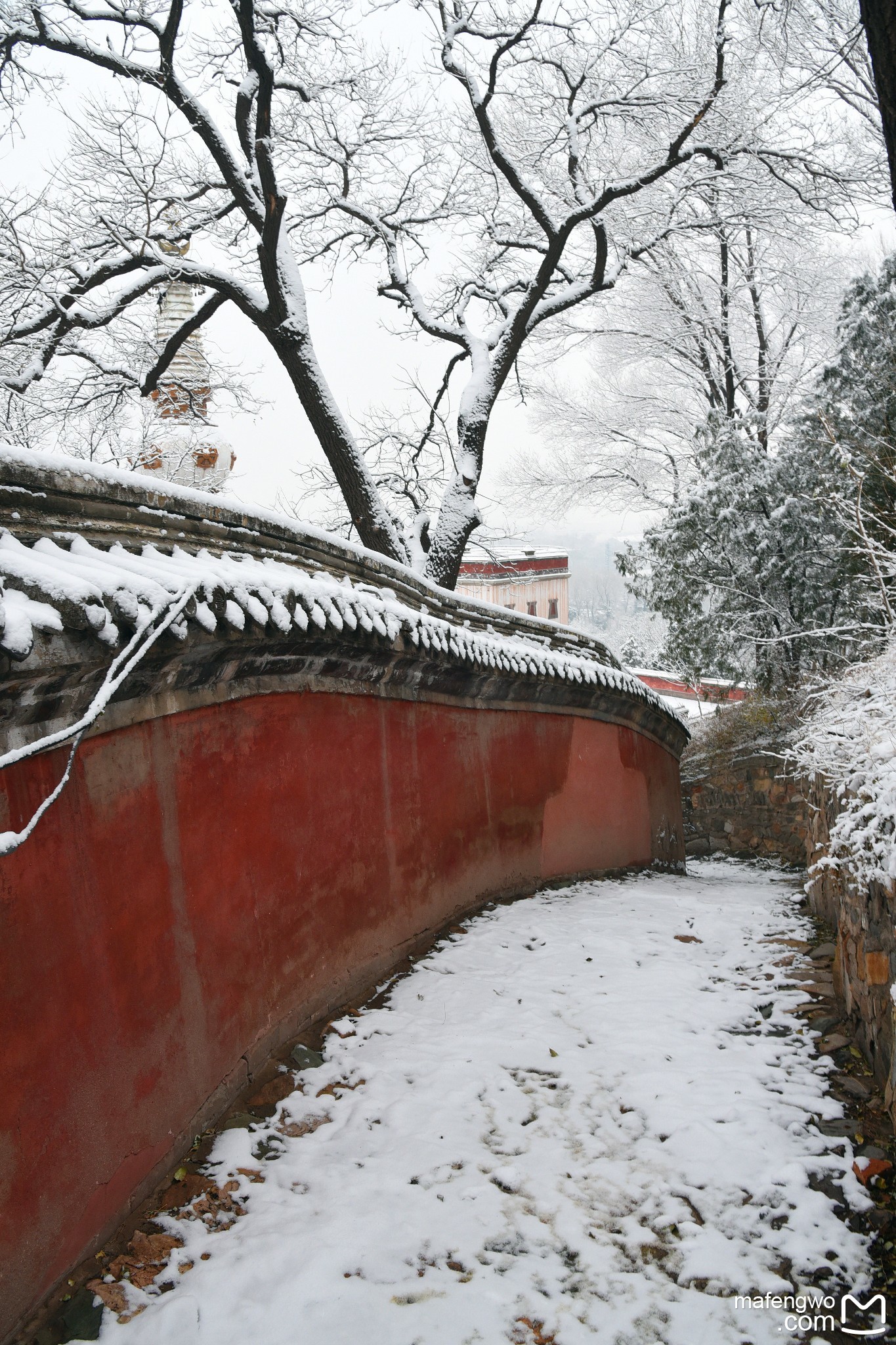 颐和园后山观雪