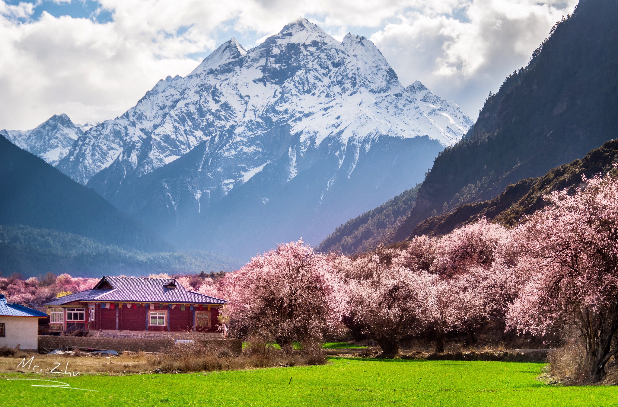 看最美的春天|西藏林芝桃花及拉萨,雅鲁藏布大峡谷,波密,然乌湖7日