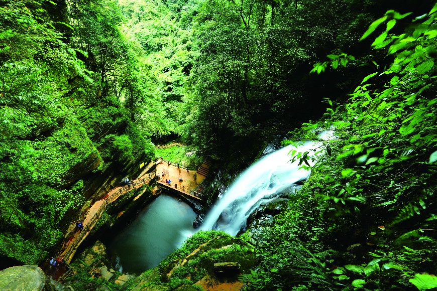 雅安 碧峰峡 景点门票(含大熊猫基地门票 观光车票 电梯票)