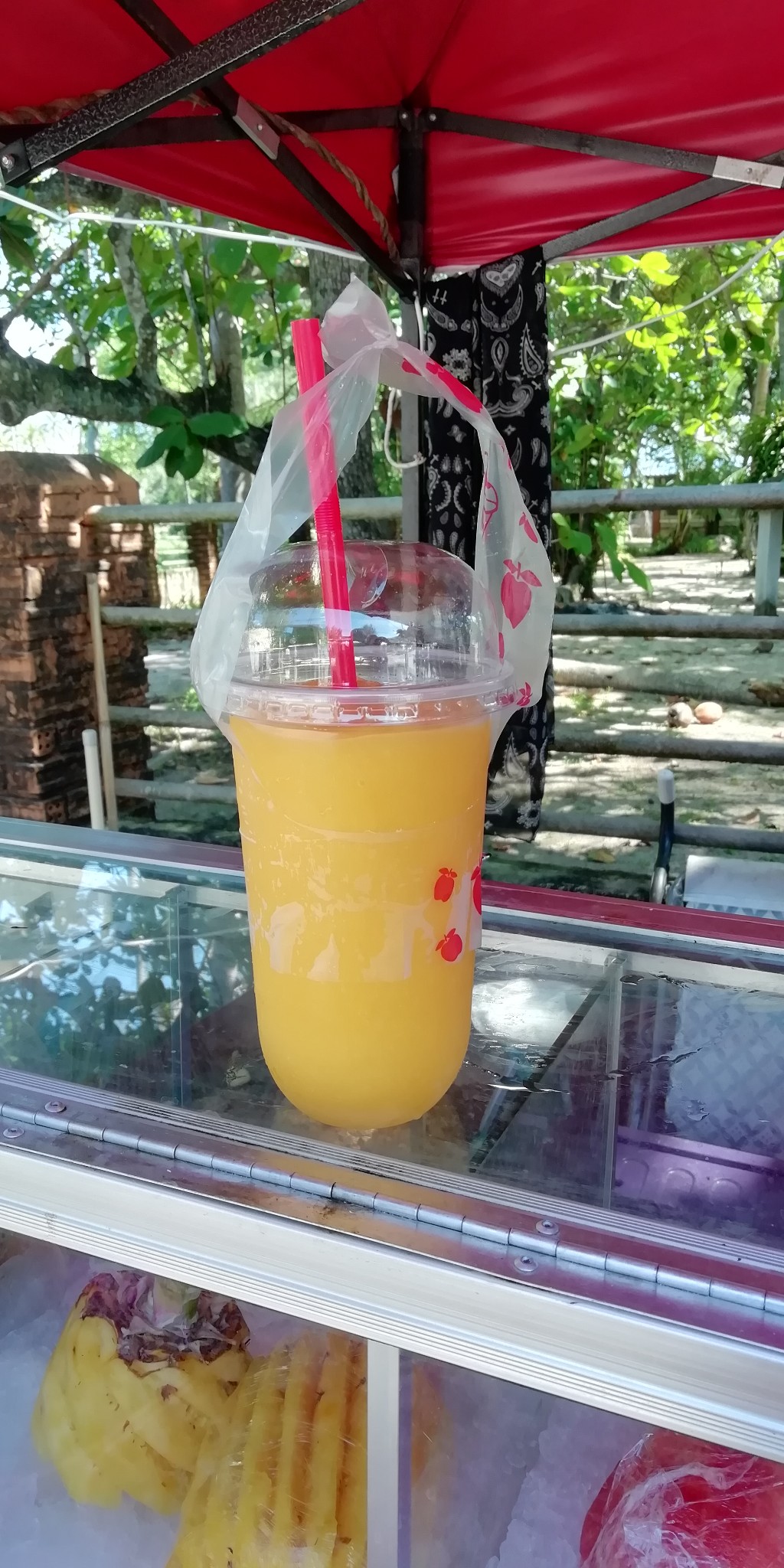 泰国旅游记（上）