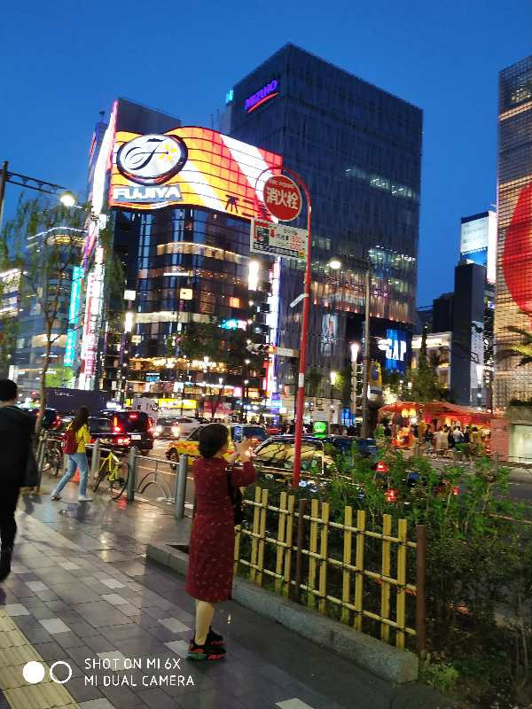 日本旅游5万日元9天时间够吗?