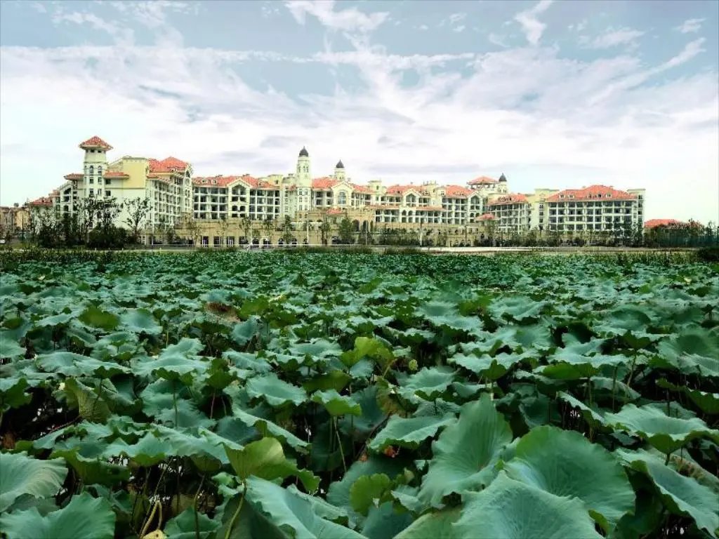 坐落于美丽的"江城"芜湖长江畔.湖心岛,花园式度假酒店.