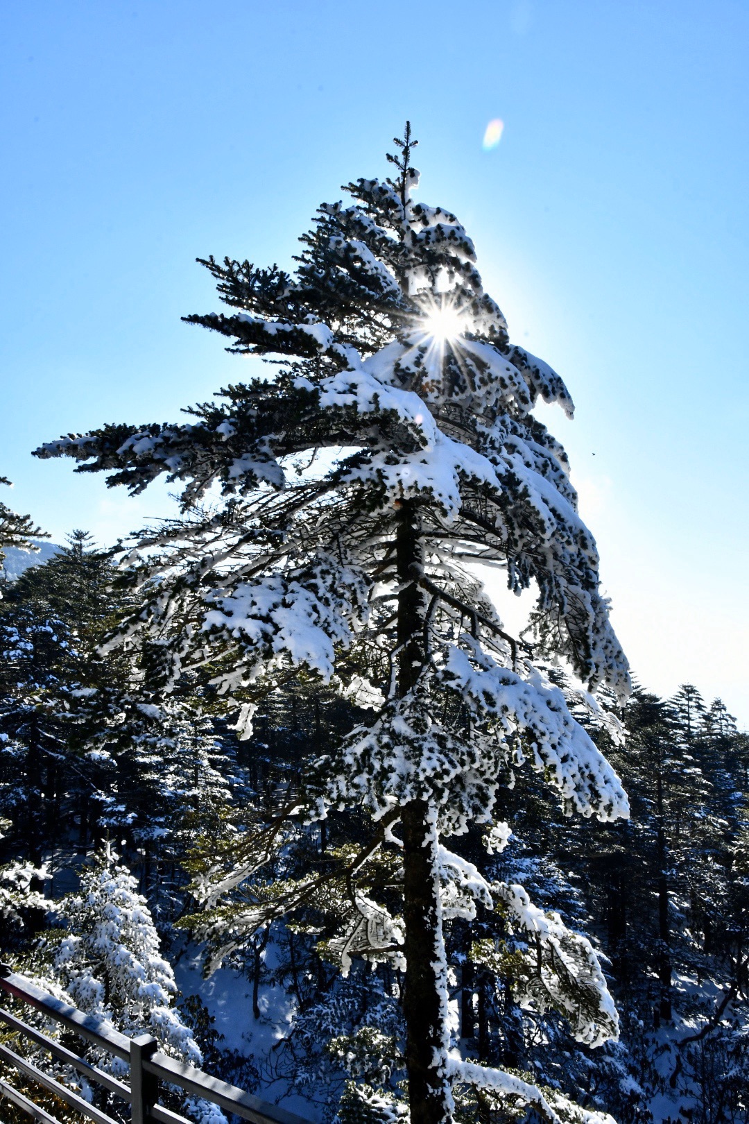 《去轿子雪山赏雪》2019/12/06(星期五)