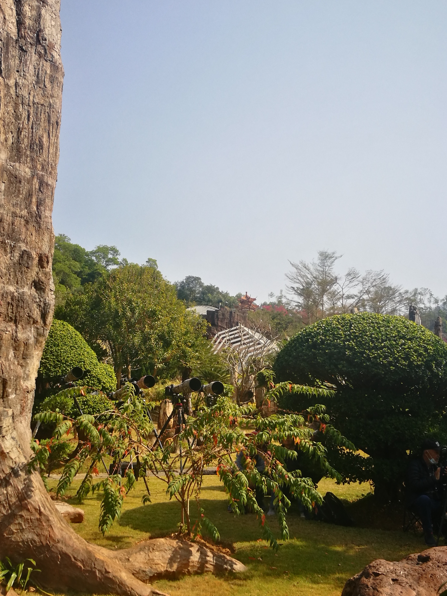 仙湖植物园全园分为天上人间景区,湖区,庙区,沙漠植物