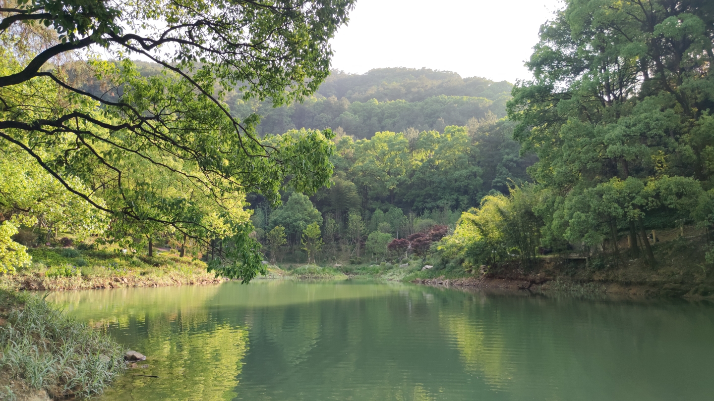 北碚缙云山黛湖,重庆旅游攻略 马蜂窝