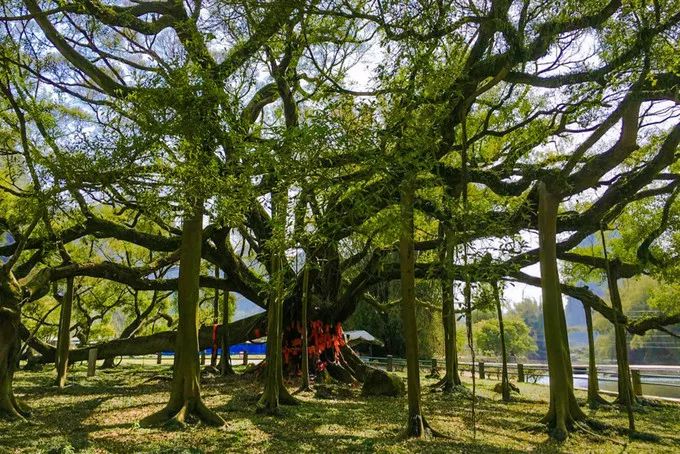 桂林阳朔山水甲天下4日游桂林旅游攻略桂林旅游攻略