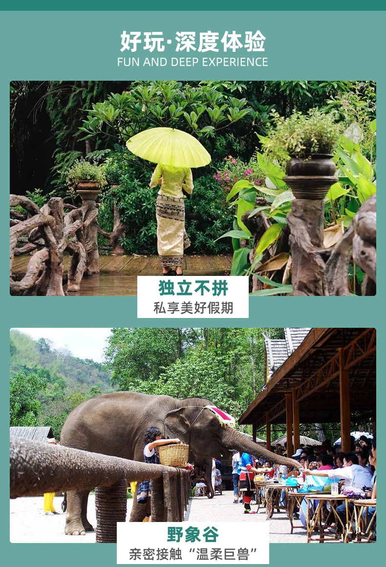 云南旅游西双版纳5日游纯玩亲子旅行一家一团自然醒出发告庄五钻泳池