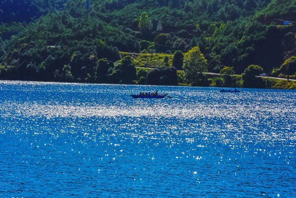 泸沽湖水性杨花绽放的时节满城春色半湖花开