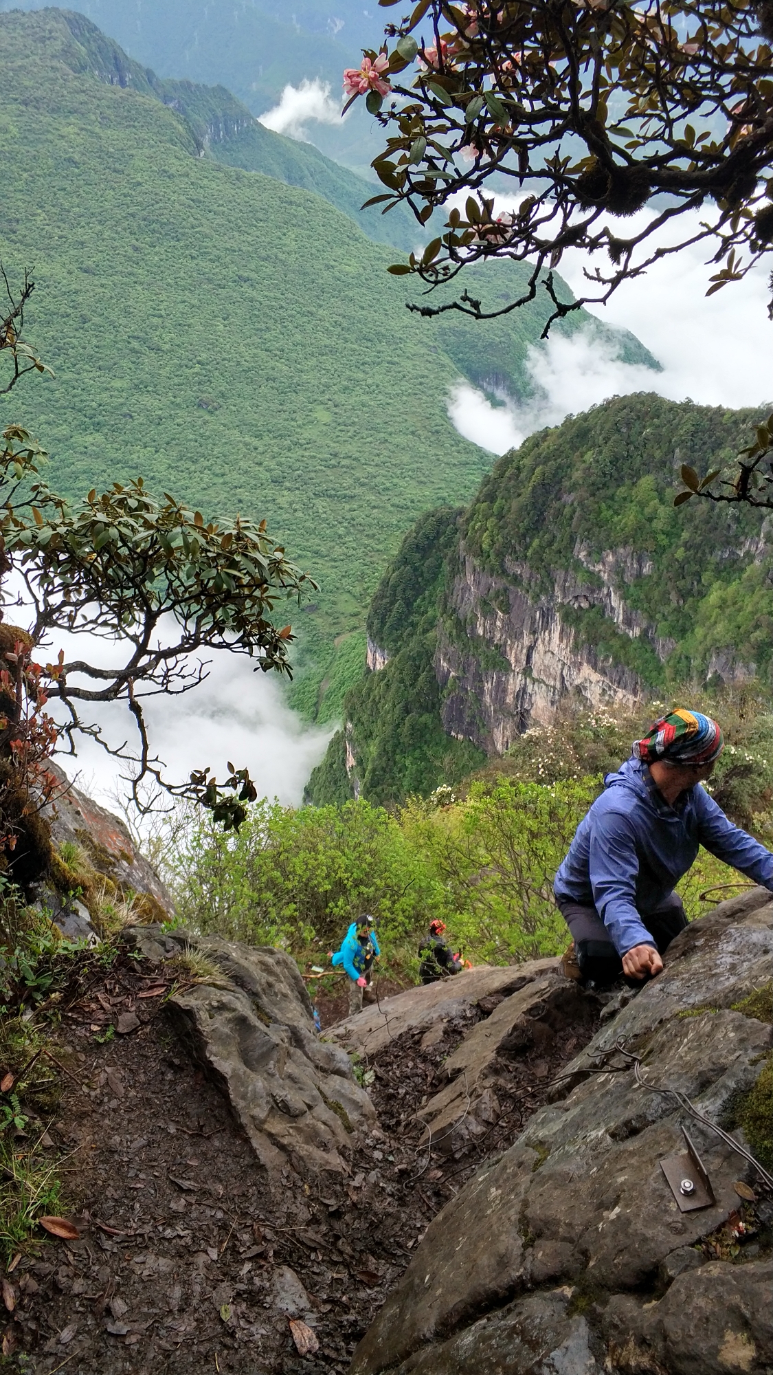 金口河大瓦山『重装登顶』,赏漫山高山杜鹃,转转花 观