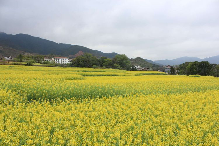 (江西省吉安市万安县.