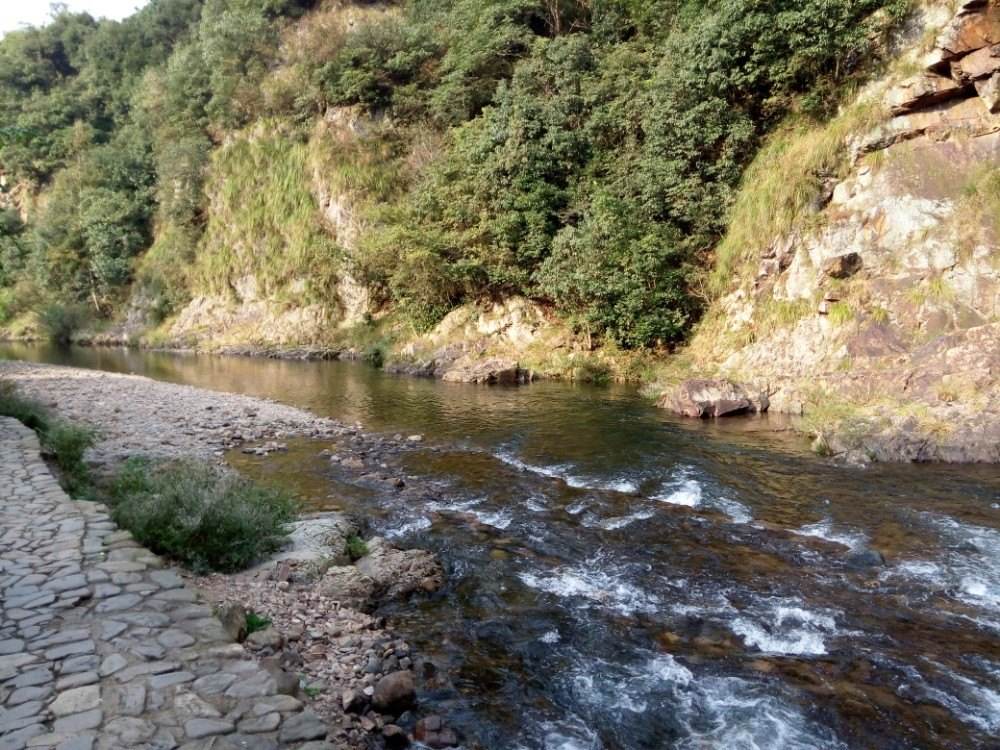 桃岭公路 储家滩 汀溪风景区一日游