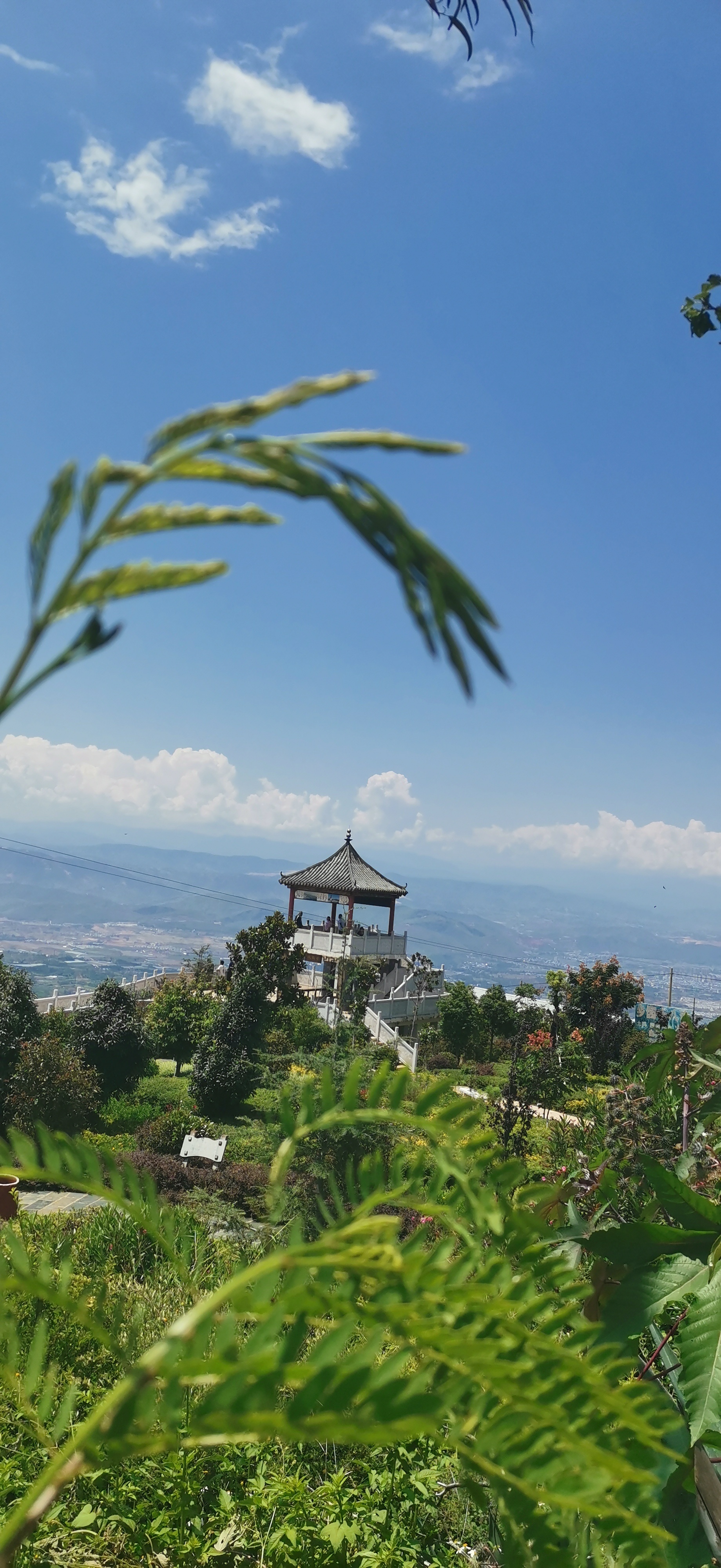 禄丰景点介绍,禄丰旅游景点,禄丰景点推荐 - 马蜂窝