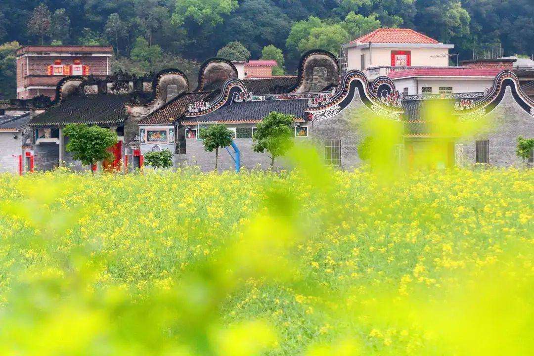 (1)美丽乡村 红色革命线路 高明县立第三小学(宝贤义学)