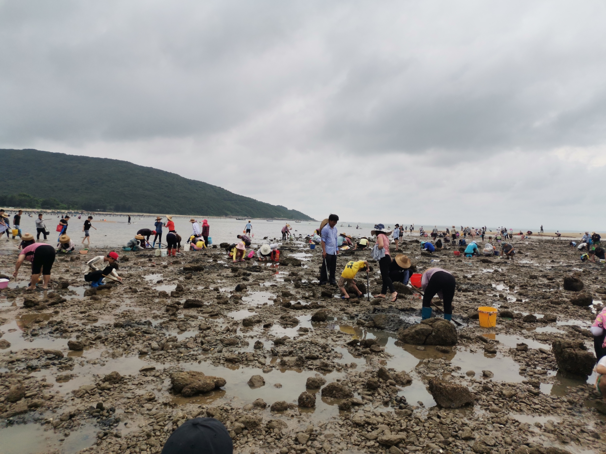 阳江海陵岛下角赶海(挖螺/捡贝壳.)_游记