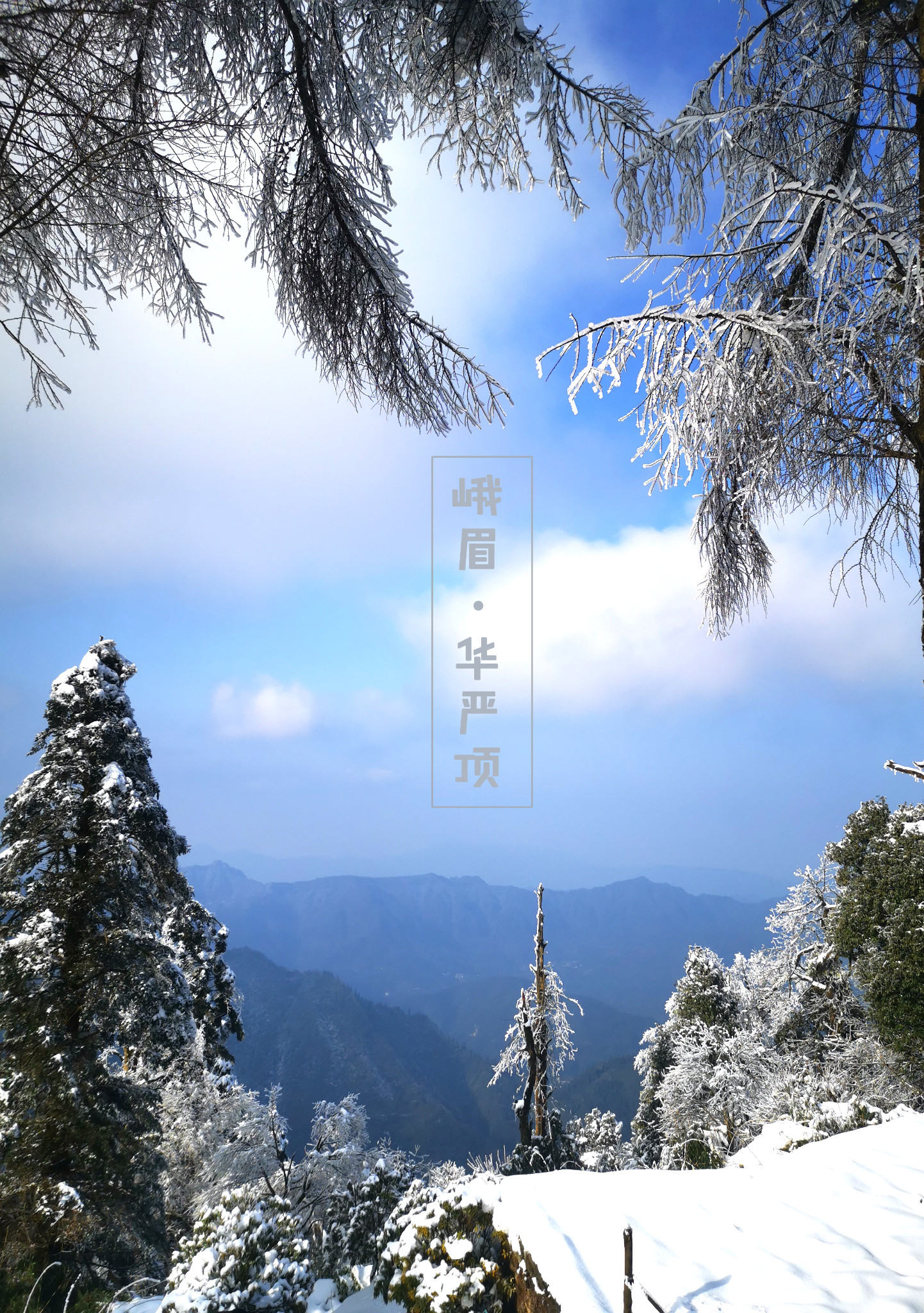华严顶