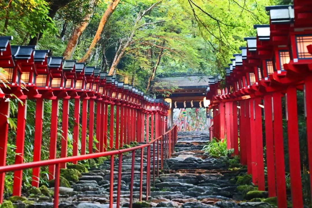 日本之旅必去的神社, 神宫,大社,寺庙 有何区别?