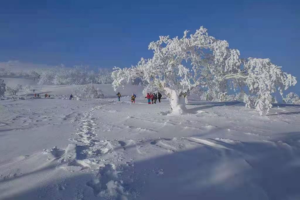 牡丹江雪乡二浪河