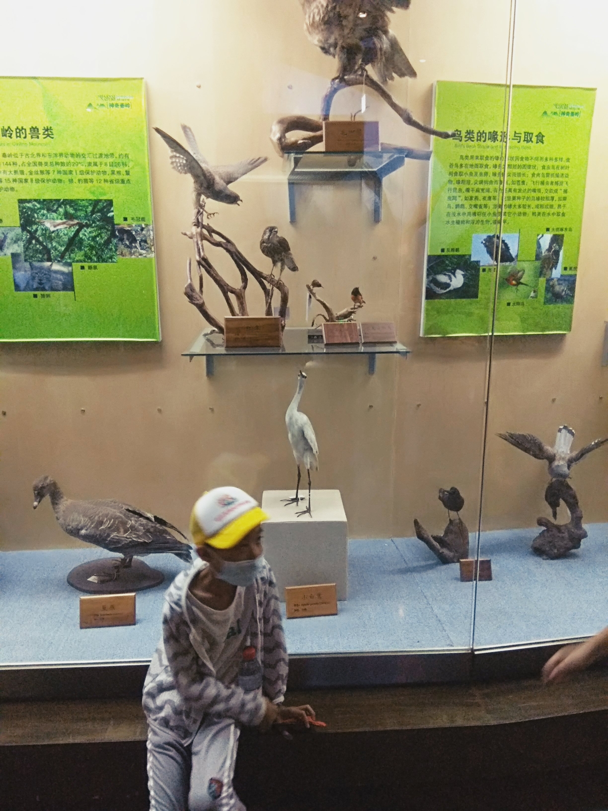 陕西省自然博物馆,西安自助游攻略 - 马蜂窝