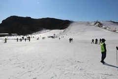 【强势推荐】天津蓟洲国际滑雪场 盘山滑雪场 玉龙滑雪场一日游【多