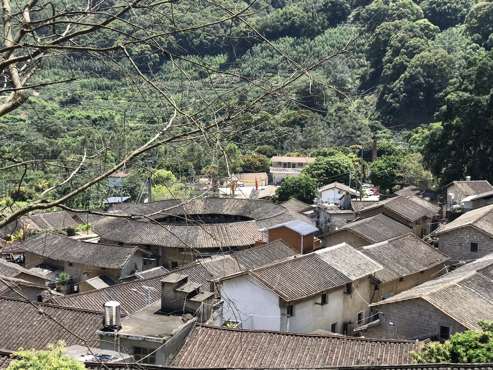 云霄：杨桃岛～南湖公园～红树林枇杷山～乌山～东山岛……_游记