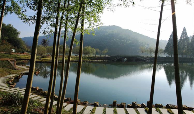 宜兴竹海风景区一日电子门票(直接扫码入园)