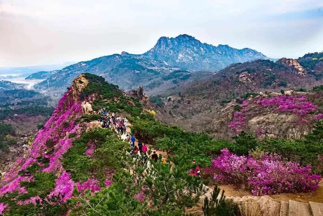 青岛大珠山风景区电子门票(需提前一天预订)