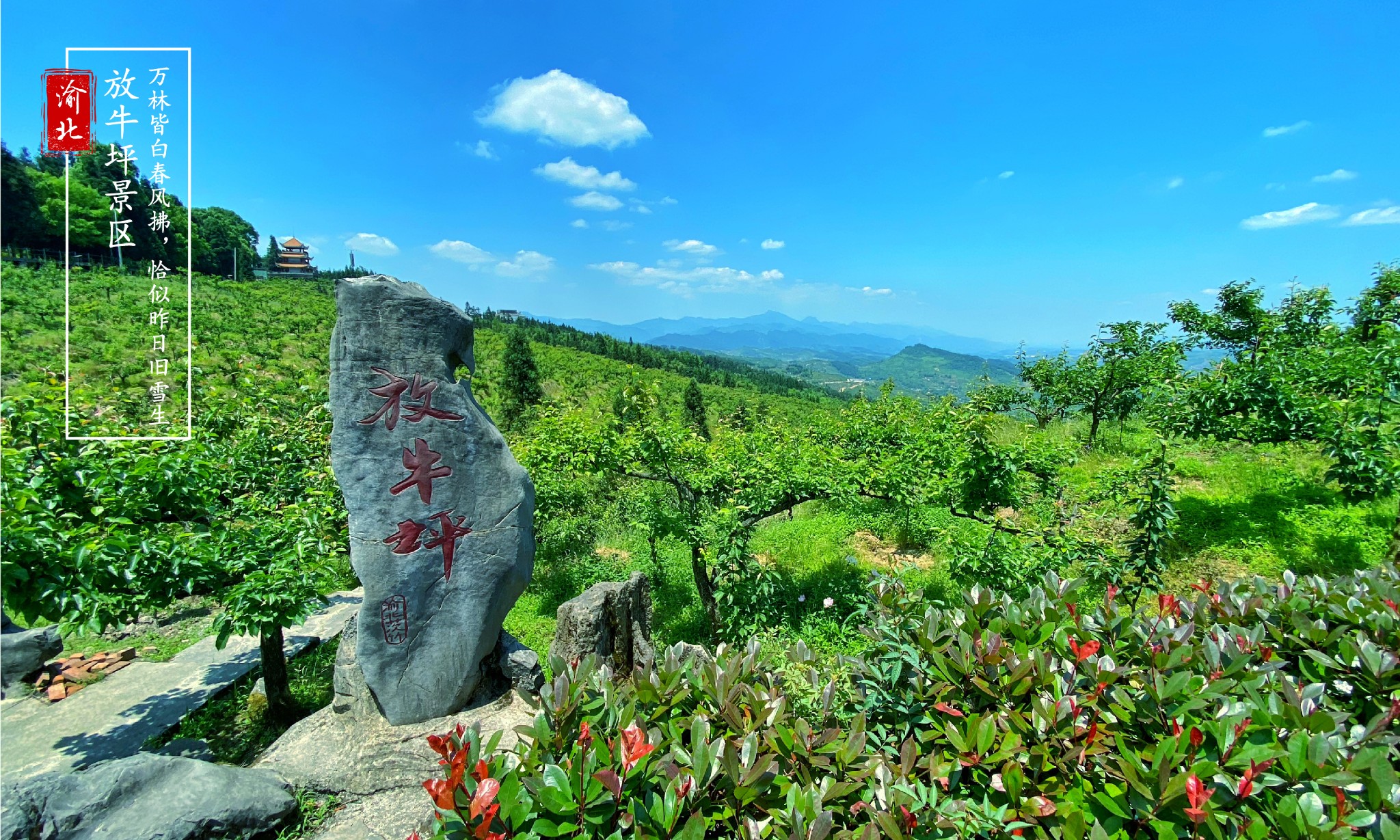 重庆放牛坪景区