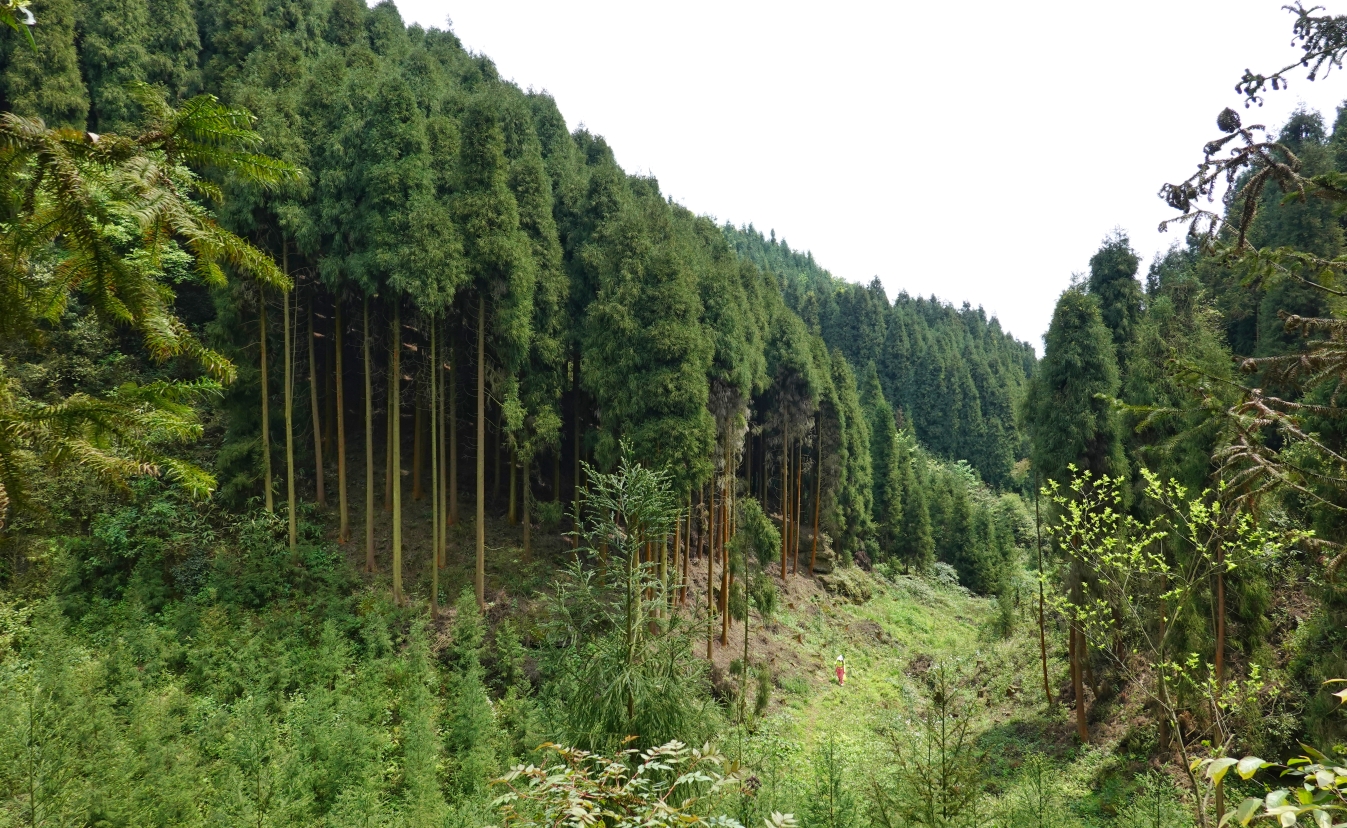 《转山会》四川绵竹唐家山徒步