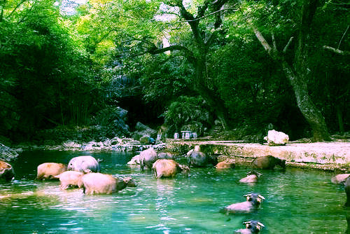 融安景点