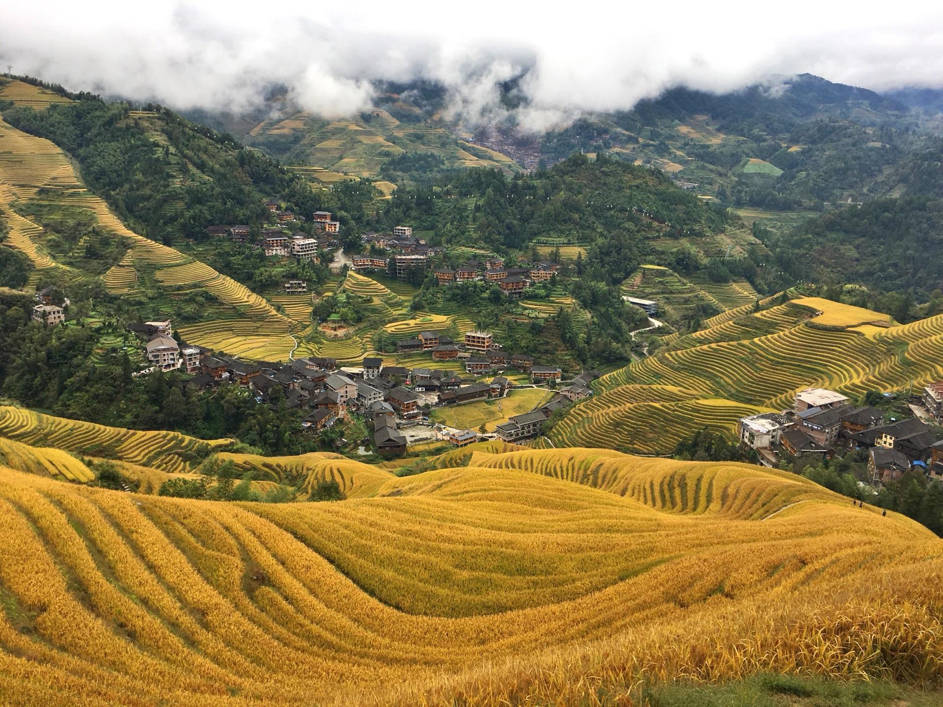 躲不过的秋天雨,加榜梯田*肇兴侗寨,从江旅游攻略 马蜂窝