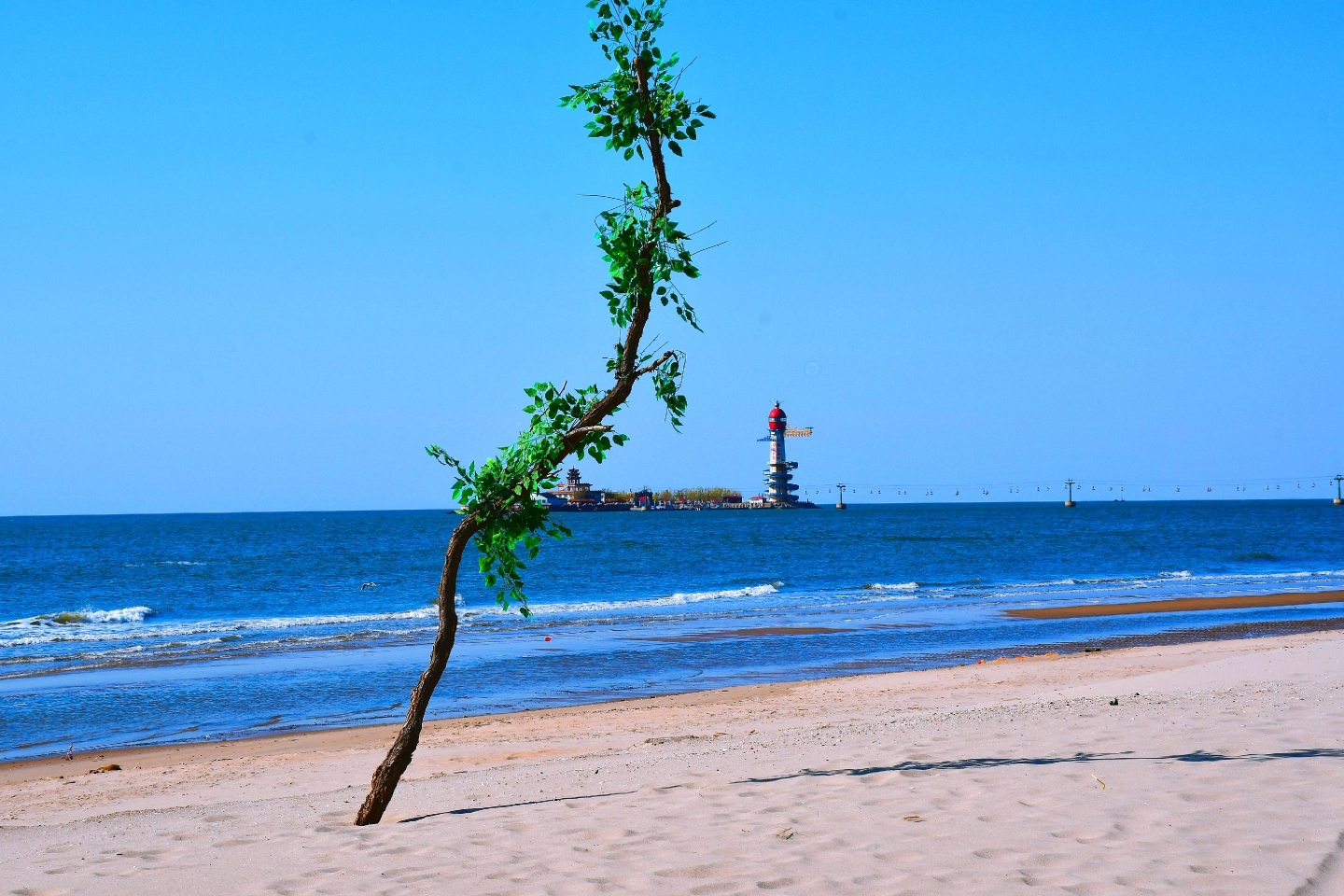 春天到北戴河看海,秦皇岛旅游攻略 - 马蜂窝