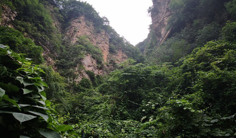 天津蓟州白蛇谷景区门票(传说青蛇 白蛇修炼之地 短信