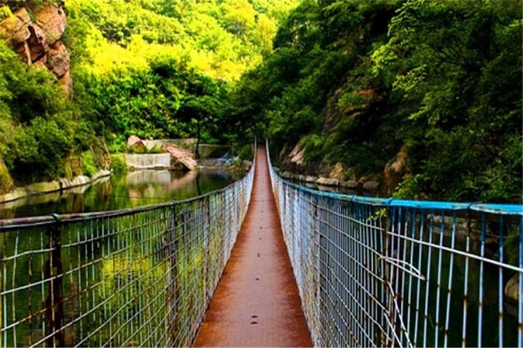 天津九龙山国家森林公园门票(幽雅安静/舒适怡人/气候