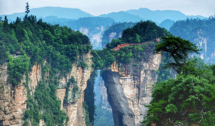 春暖湘西全景·张家界玻璃桥 天门山 森林公园 芙蓉镇