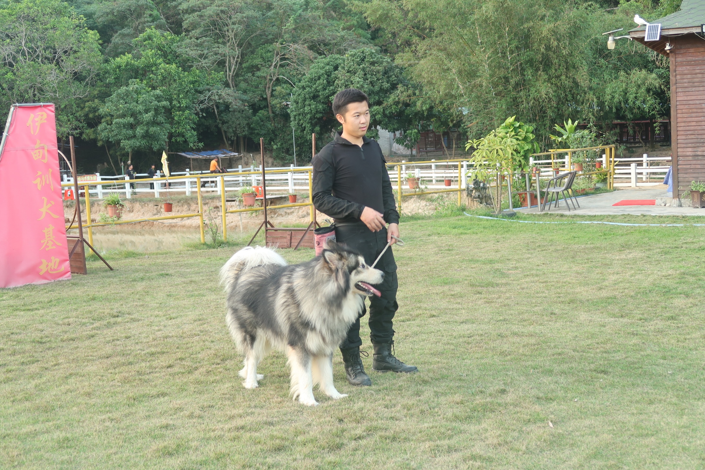 中山伊甸园训犬基地