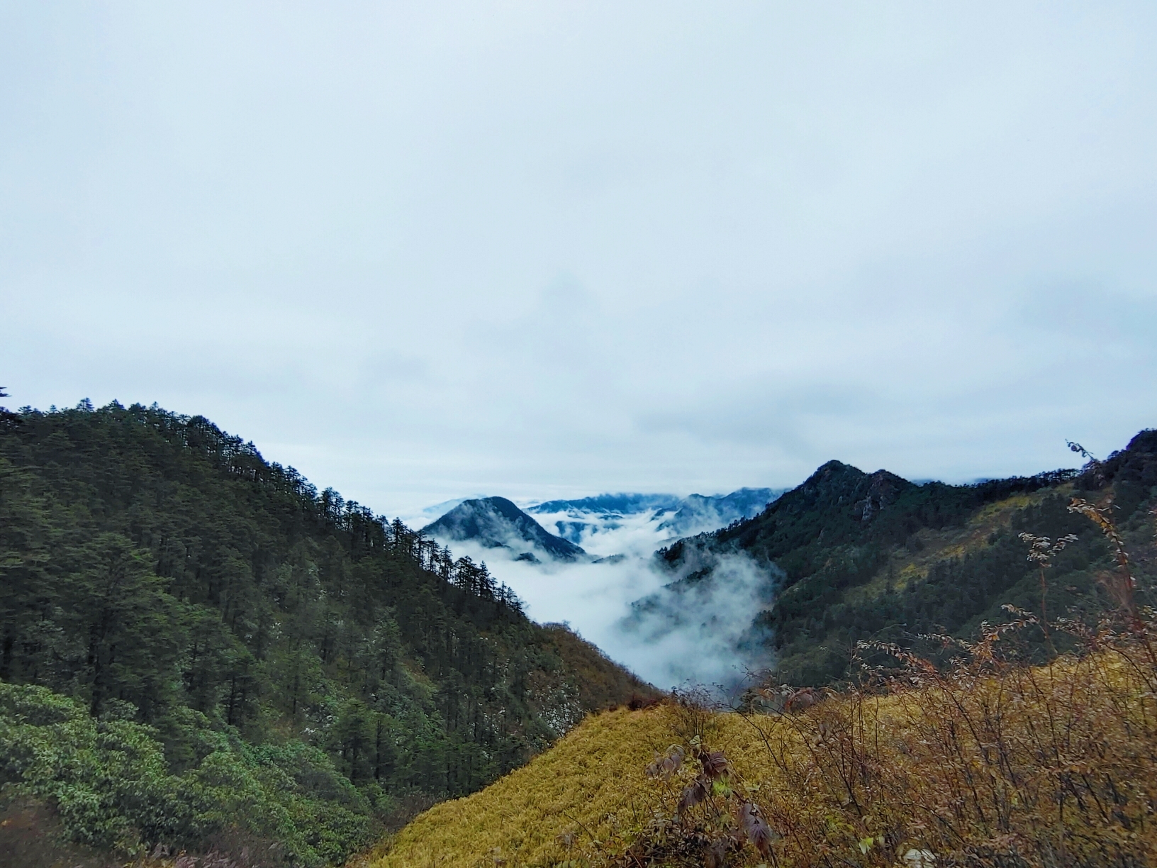 西岭雪山大飞水景区-日月坪    