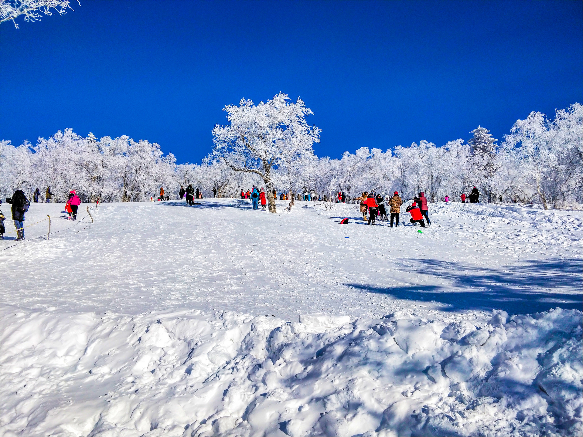 哈尔滨-童话世界雪乡-亚布力滑雪5日游