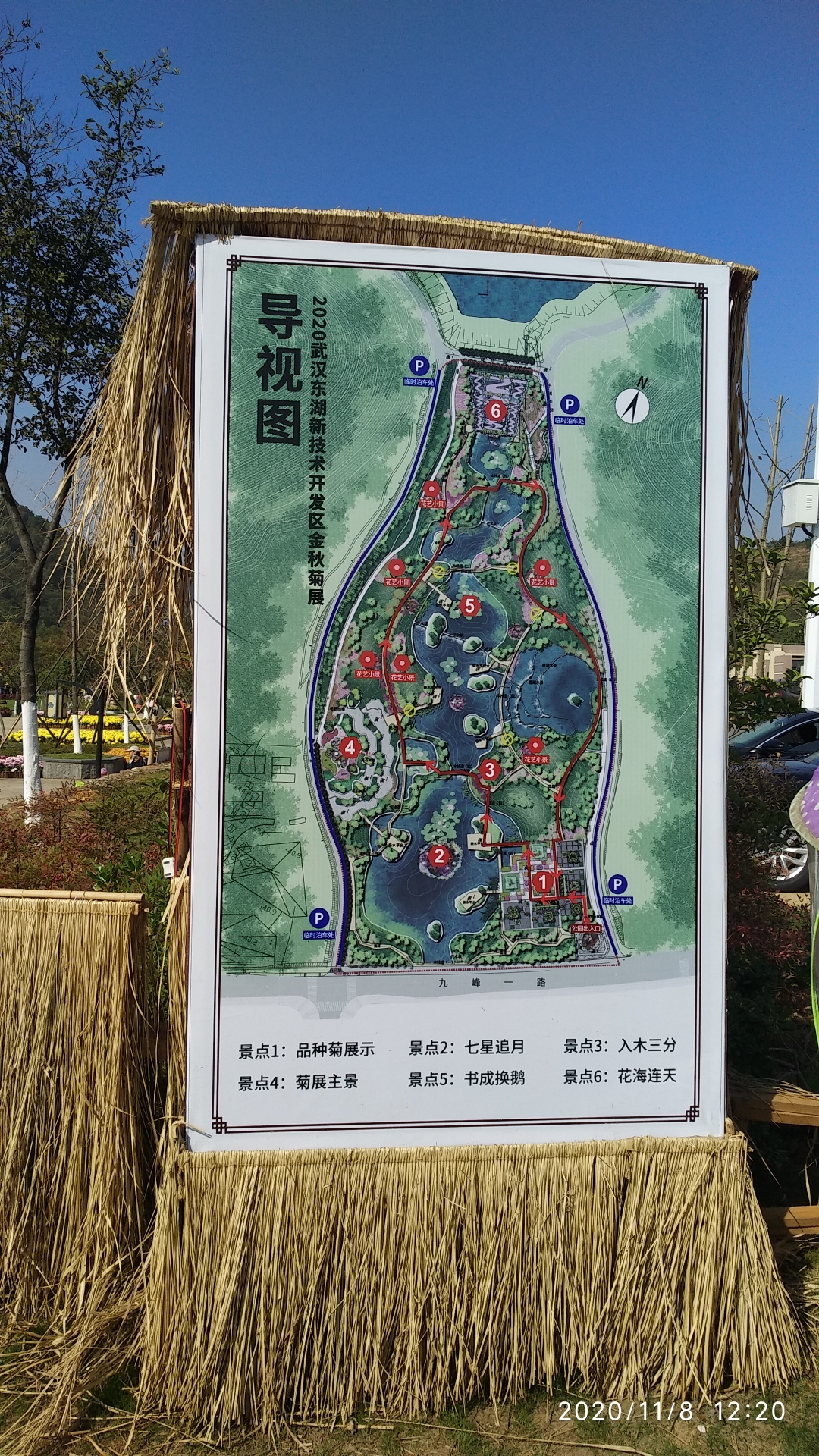 《兰亭公园》菊展11.8,武汉自助游攻略 - 马蜂窝