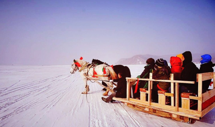 马拉爬犁也称马拉雪橇是冬季东北农村常见的交通工具.