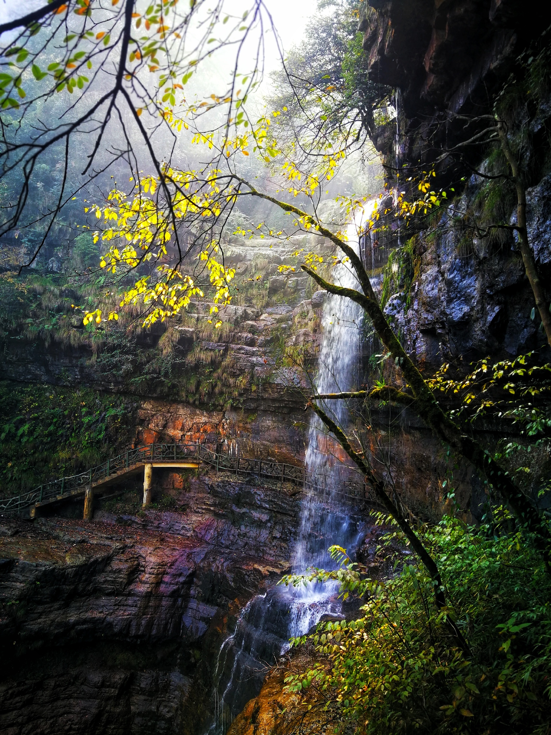 小草坝风景区