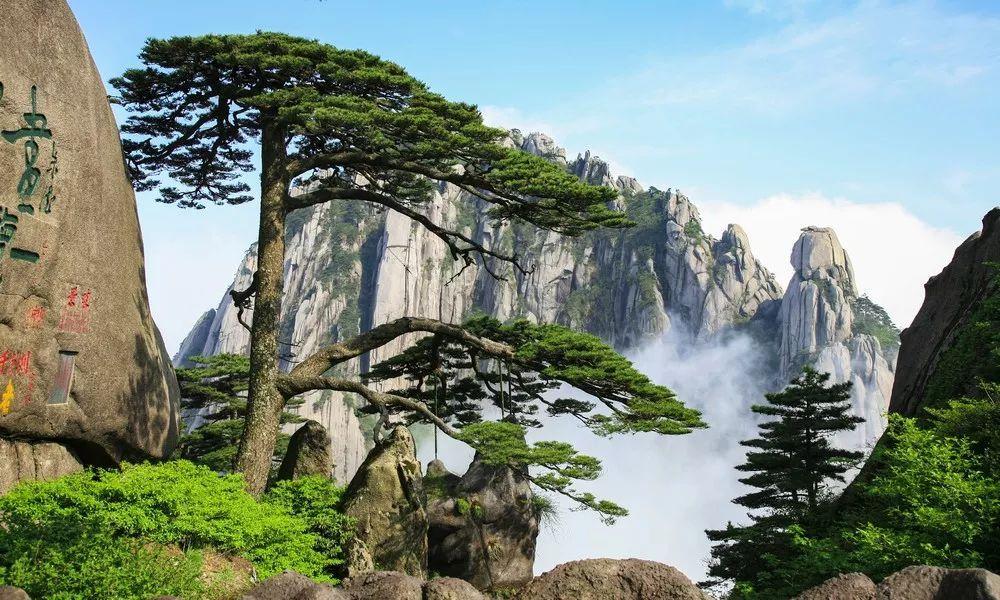 安徽黄山风景区3天2晚跟团游(宿山上·观日出日落·深度打卡奇秀黄山