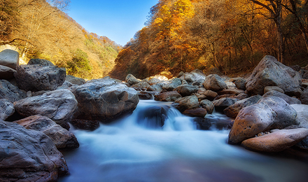 陕西周边游宝鸡黄柏塬探秘核桃坪原始森林吸氧探险 北方小九寨大箭沟