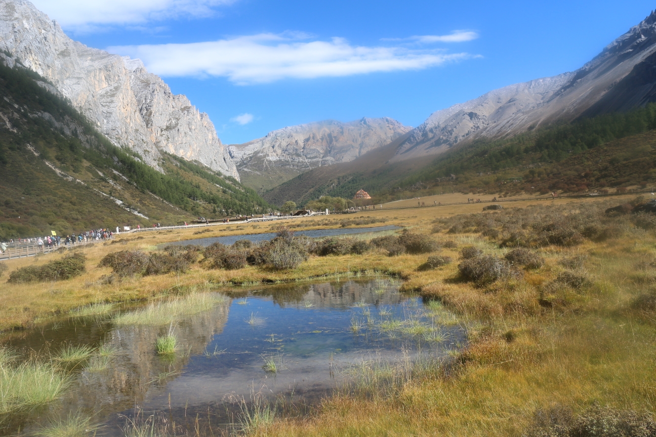 d2:新都桥—雅江—理塘—海子山—稻城 洛绒牛场                  与