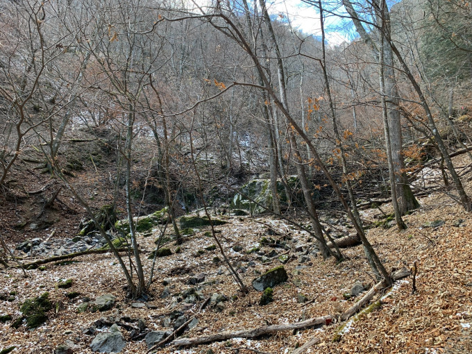 日本WIFI上網分享器租借