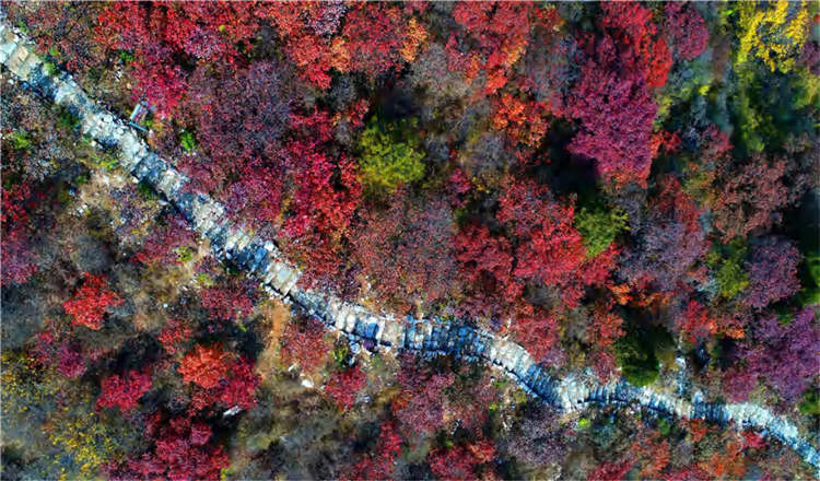 北京药王谷一日游 探神秘药王谷 赏红叶 云腾山浮 飘渺如画 寻觅北京
