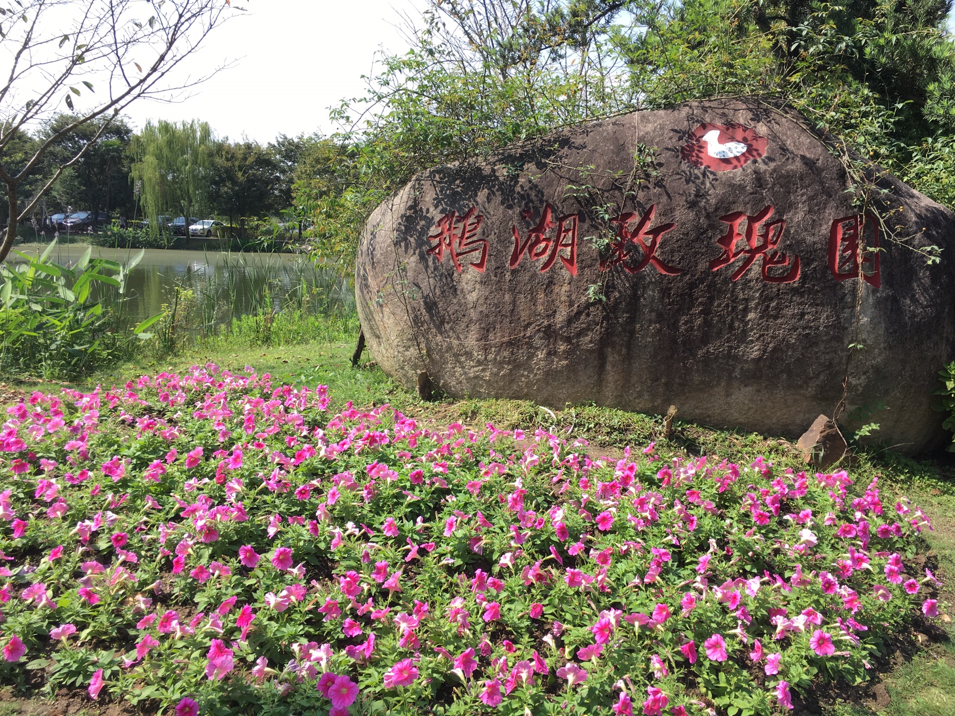 鹅湖玫瑰园～梁鸿湿地公园～荡口古镇一日游