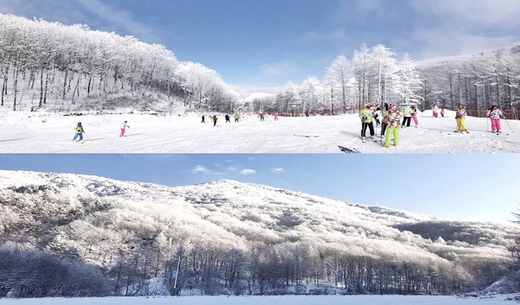 【神农雪景 温泉住宿】赠滑雪租赁五件套·神农架国际滑雪场 天悦温泉