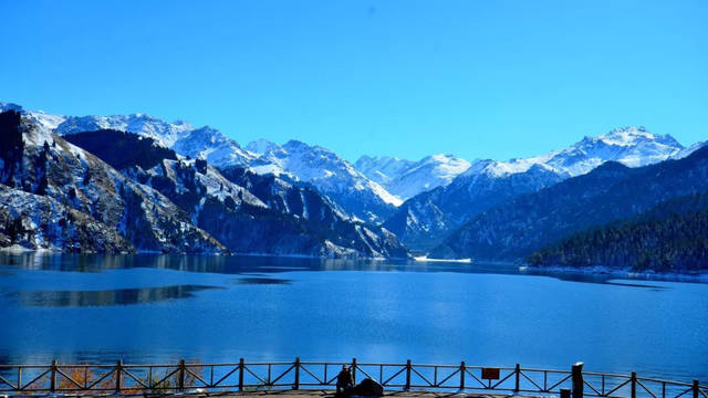 新疆天山天池景区门票 直通车(乌鲁木齐乘坐直达天池湖边)/景区区间车